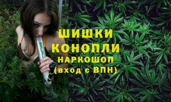 СК Дмитров