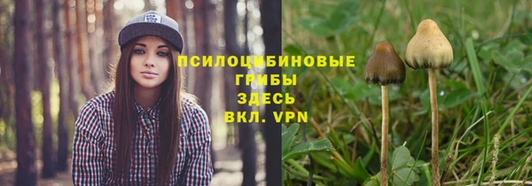 СК Дмитров